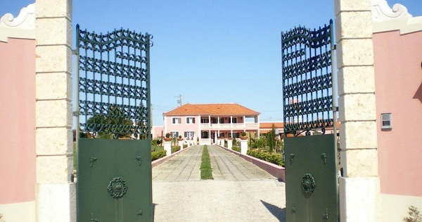 Quinta de Santa Maria D'Arruda, Arruda dos Vinhos - Mygon